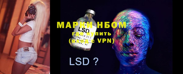 spice Каменка