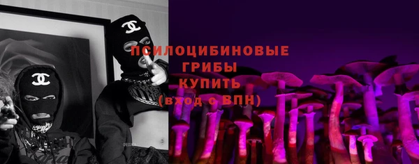 spice Каменка