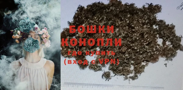 spice Каменка