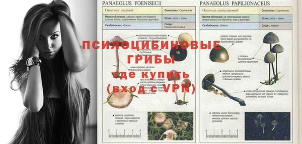 кокаин VHQ Каменногорск